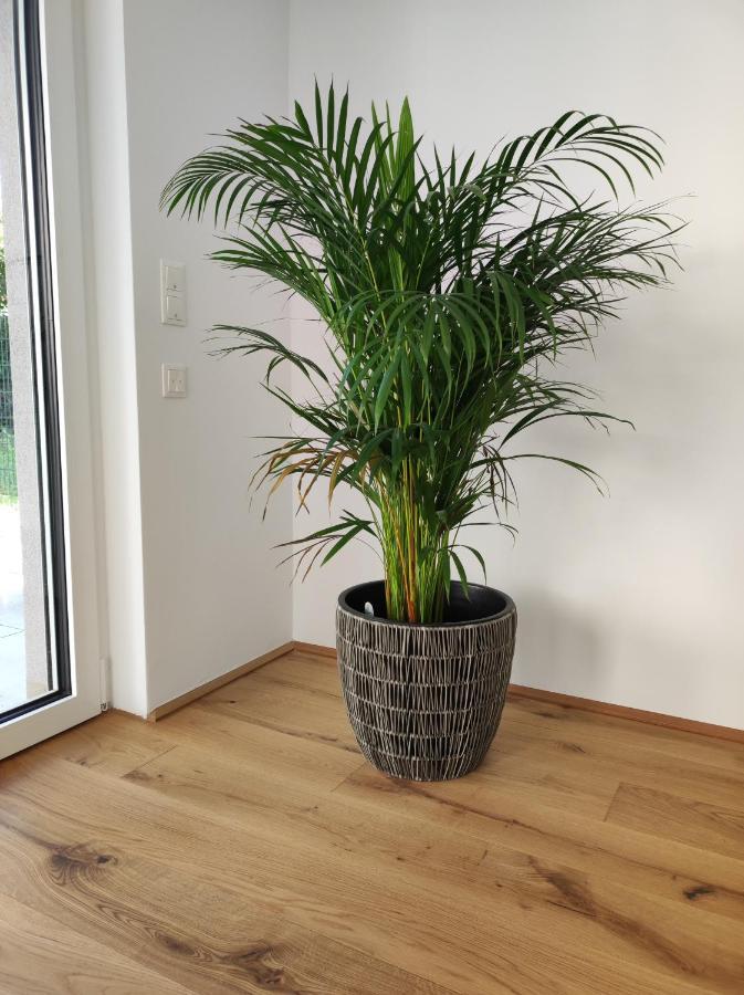 Apartamento Roksox-home Gegenueber Der Uno-city Und Kaiserwasser Viena